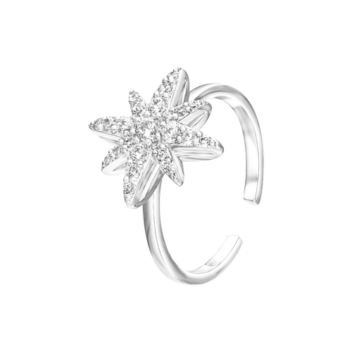 Moonstar / Ring Silver