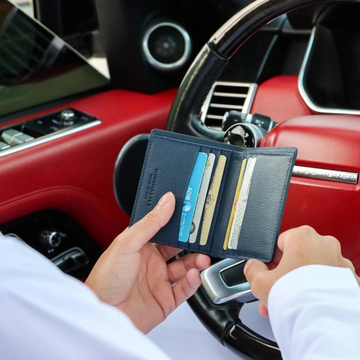 جلد الجمل كحلي / فضي