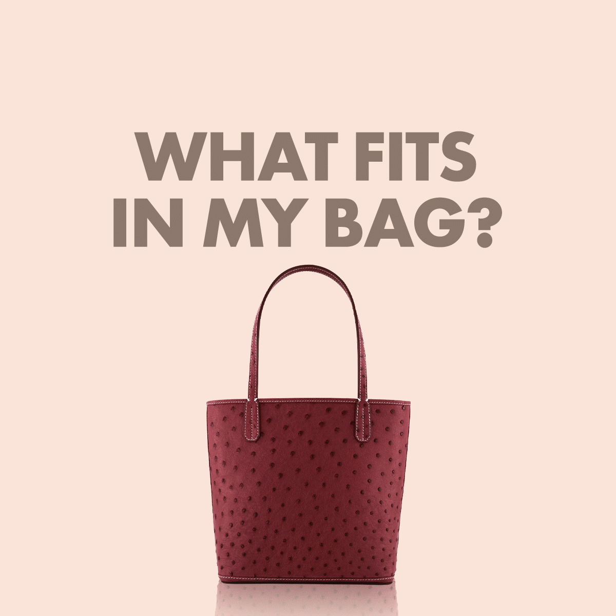 Mini Tote Ostrich Leather / Burgundy