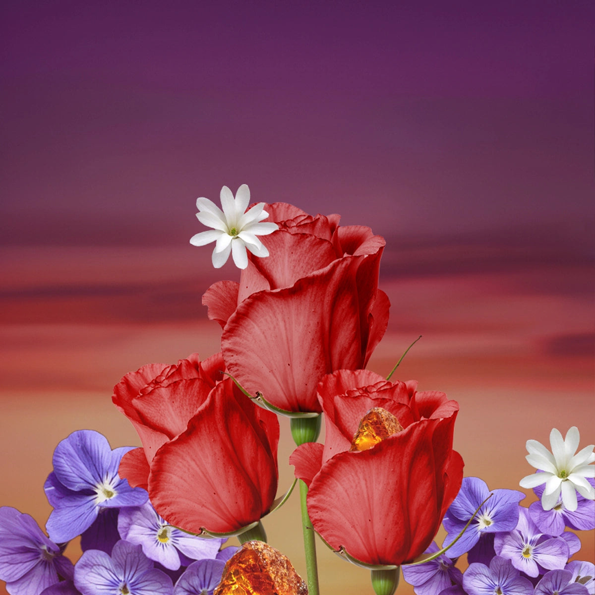 Secret Rose - Parfum