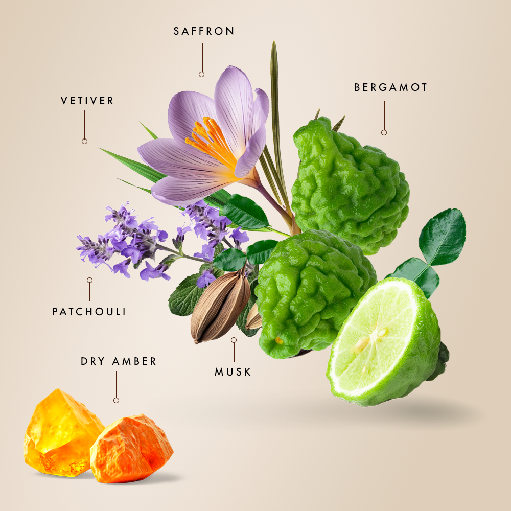 Saffron Musk / Amber Leather Parfum - Gift Box