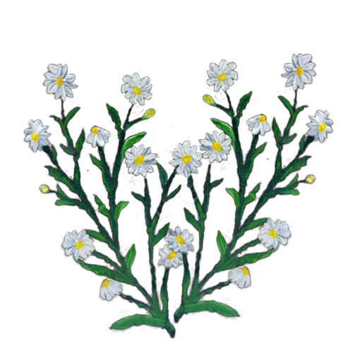 شنطة اليد حصة