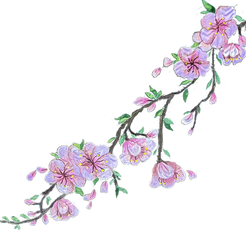 شنطة اليد حصة