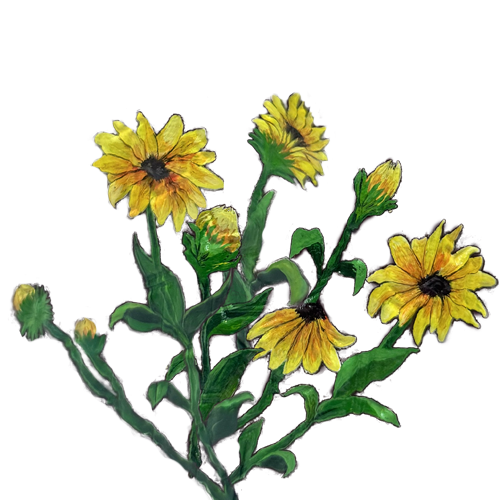 شنطة اليد حصة