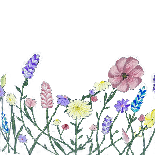 شنطة اليد حصة